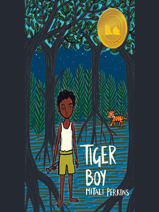 Cover image for Tiger Boy